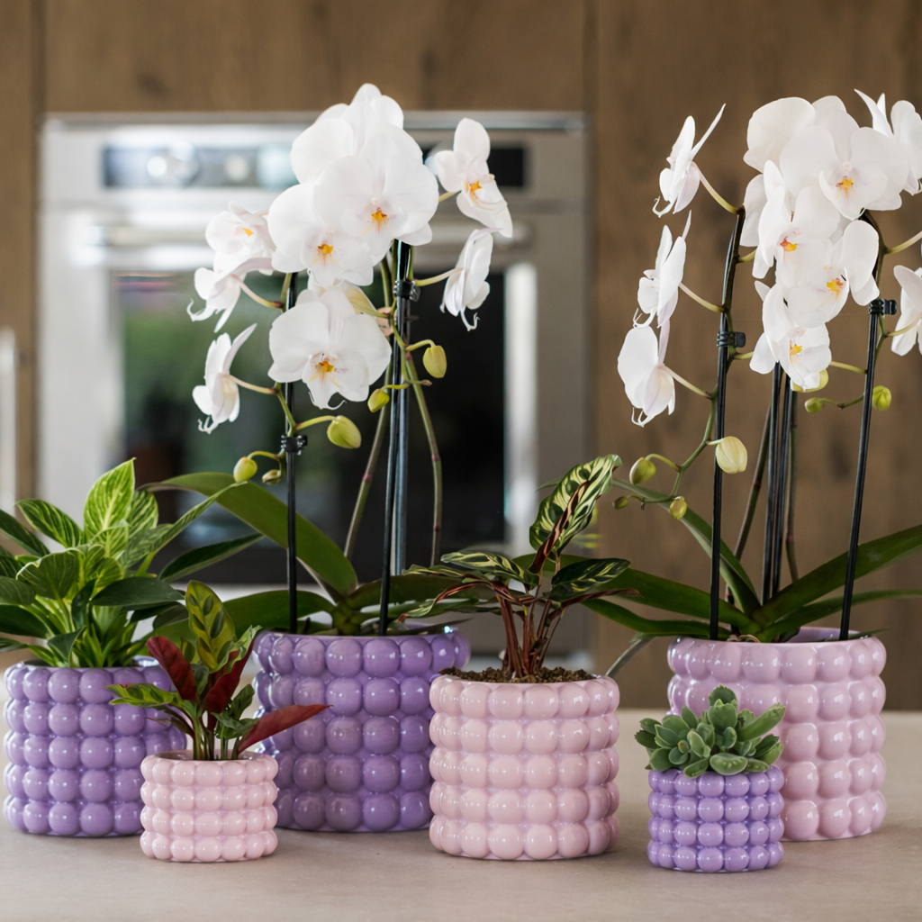 Sierpot Bubble Roze - D 9 cm