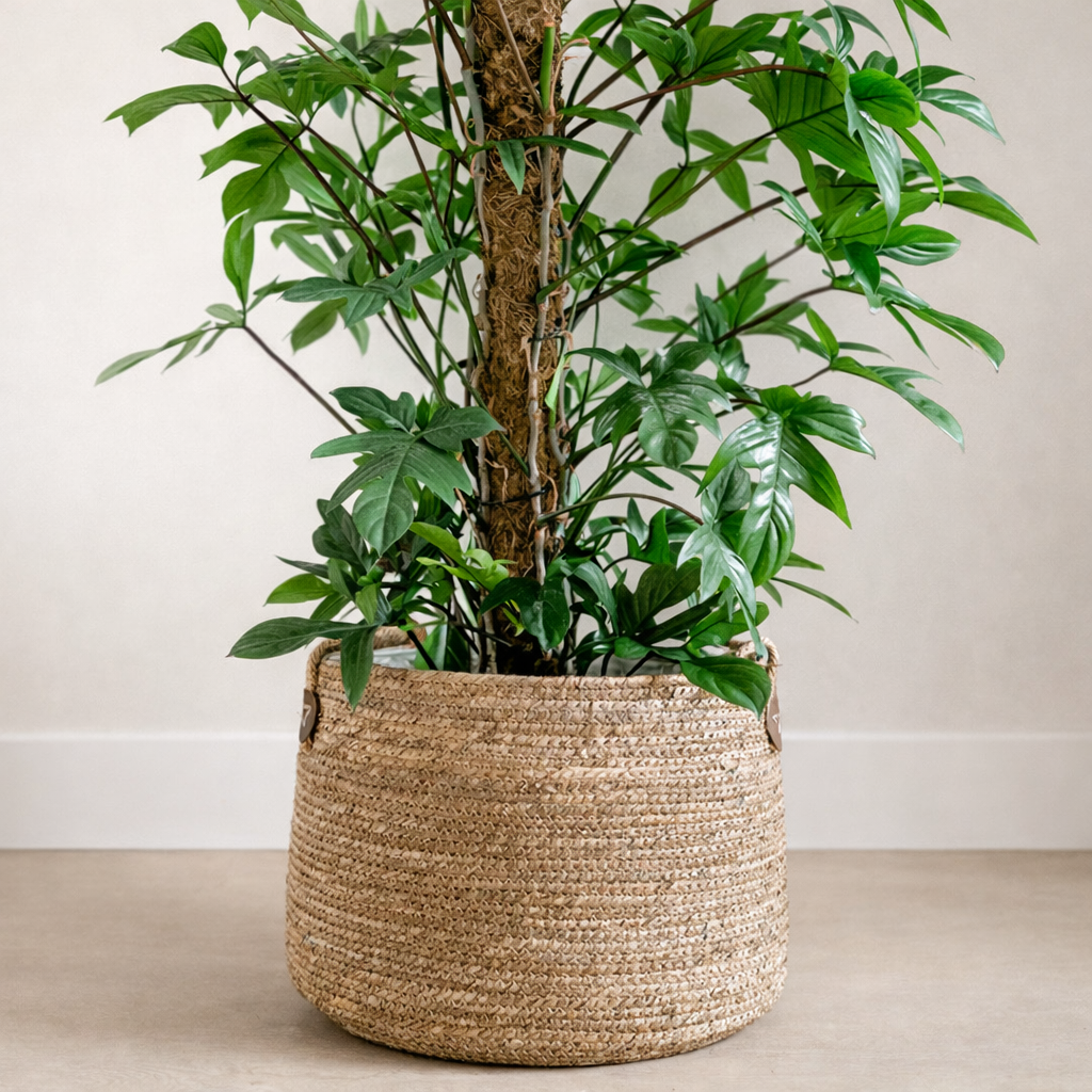 Mand Issa Naturel - D 28 cm