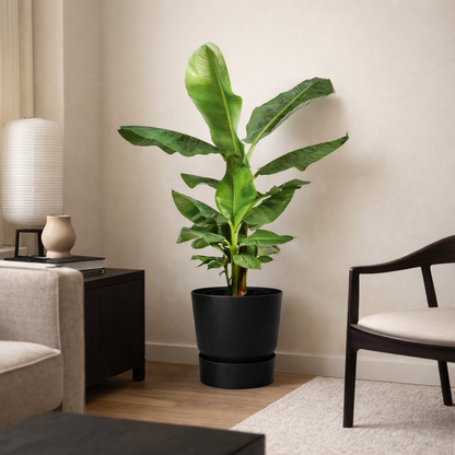 Pot Elho Greenville Round Zwart - D 18 cm
