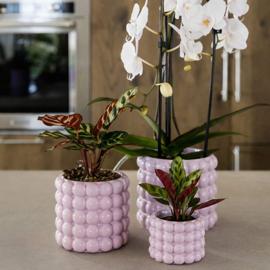 Sierpot Bubble Roze - D 9 cm