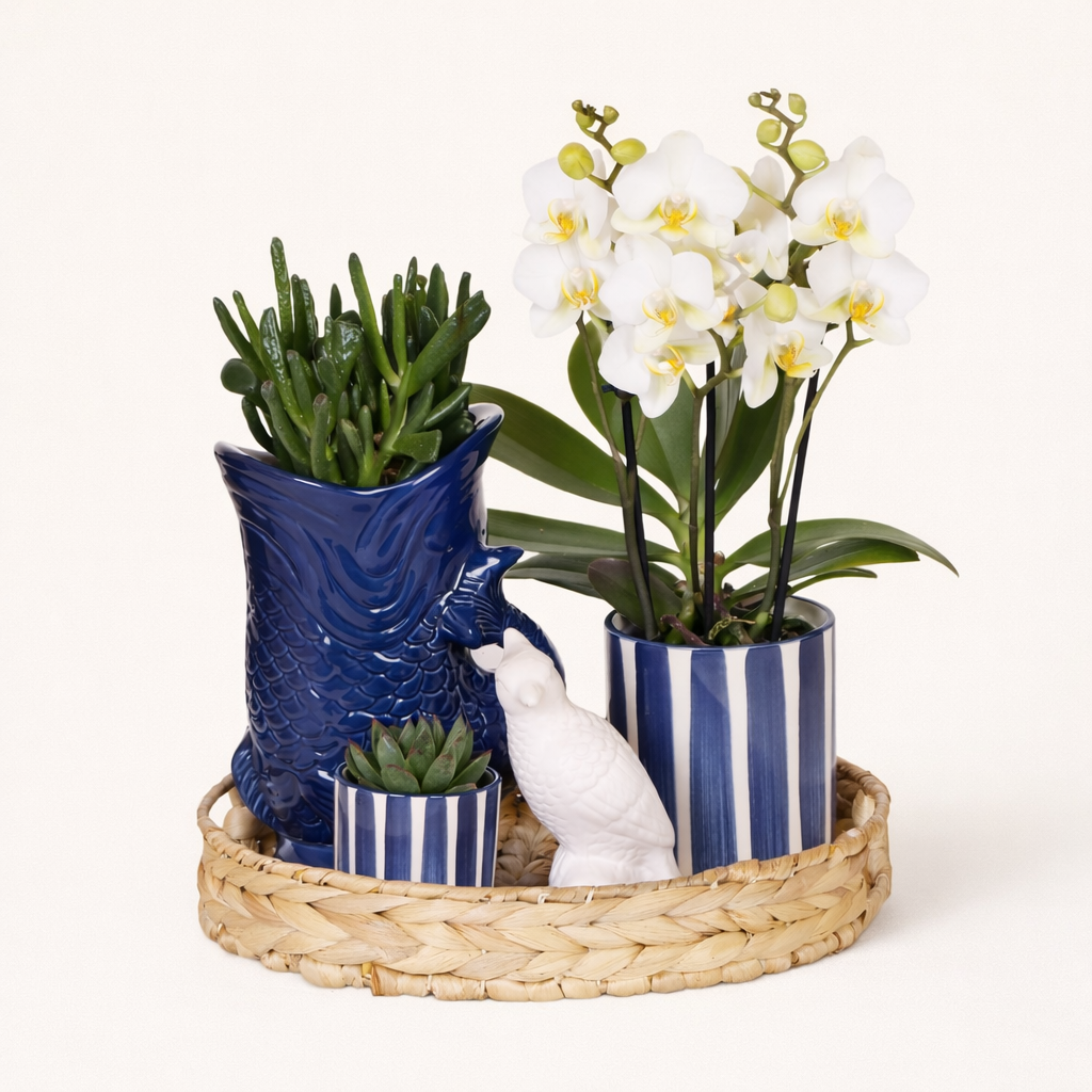 Gift Set Blue Sky