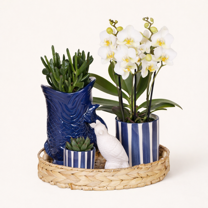 Gift Set Blue Sky