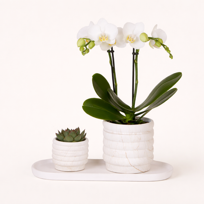 Gift Set Marble Light