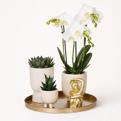 Gift Set Luxury Living