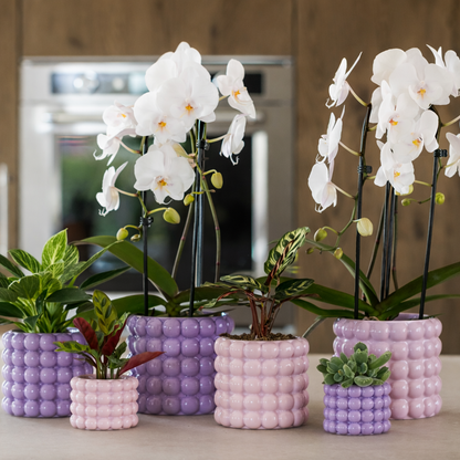 Sierpot Bubble Roze - D 9 cm