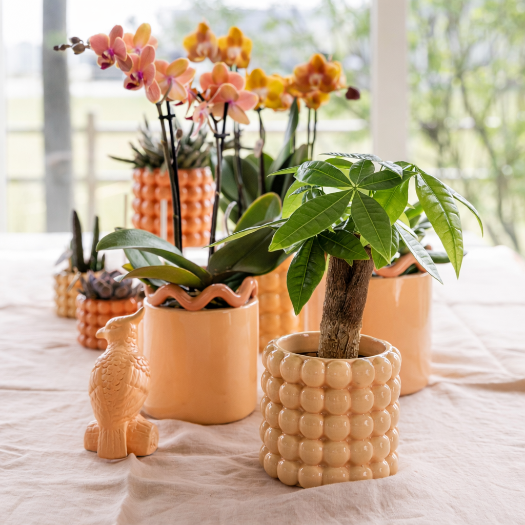 Sierpot Bubble Peach - D 9 cm