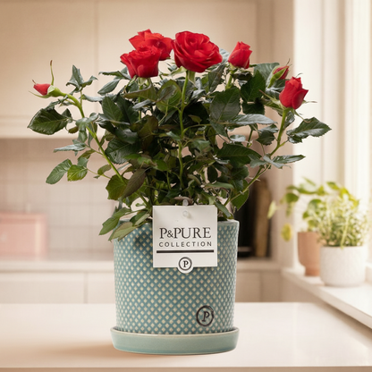 Rosa Red Incl. P&PURE Lauren Ceramics