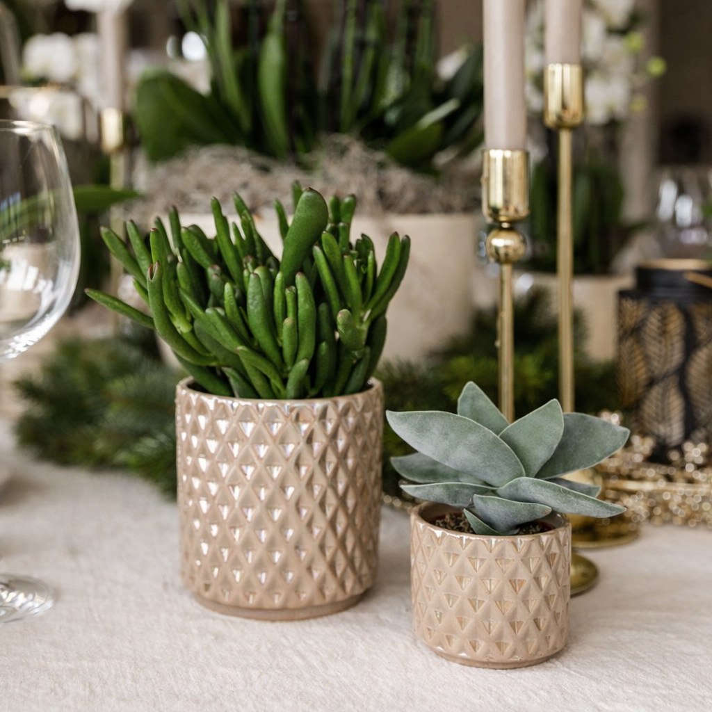 Sierpot Diamond Pearl  Beige - D 9 cm