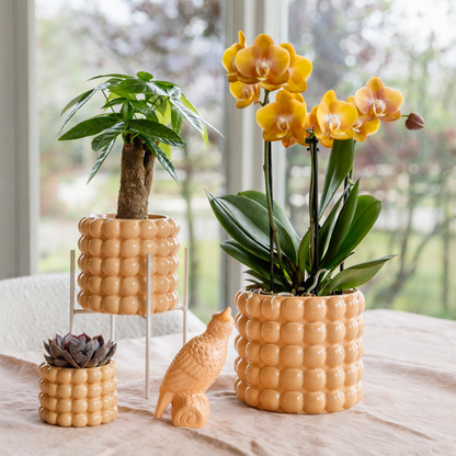 Sierpot Bubble Peach - D 9 cm