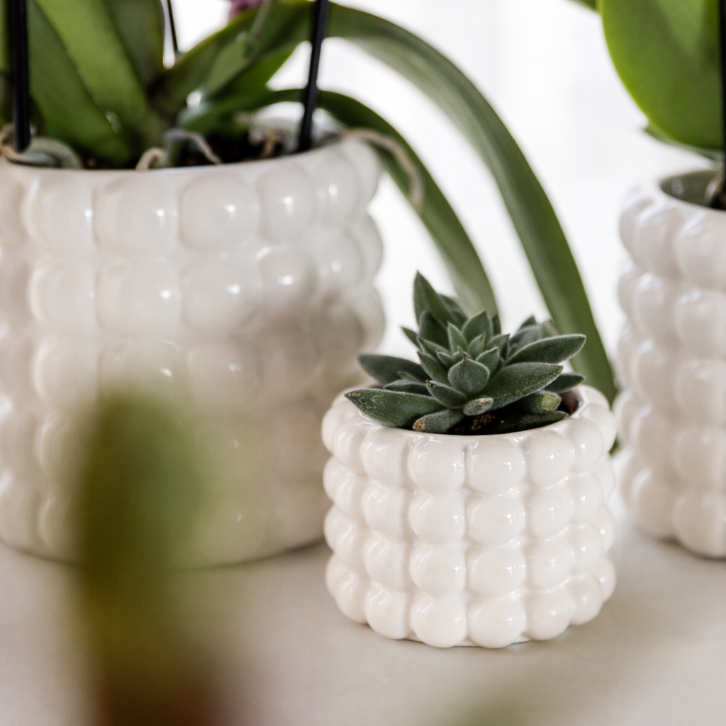 Sierpot Bubble Wit - D 9 cm