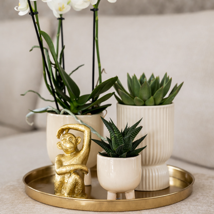 Gift Set Luxury Living
