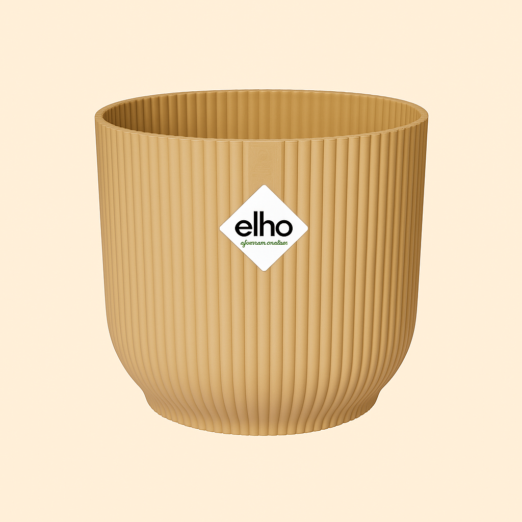 Ficus Elastica Robusta Incl. Elho Vibes Geel - H 40 cm - Ø 14 cm
