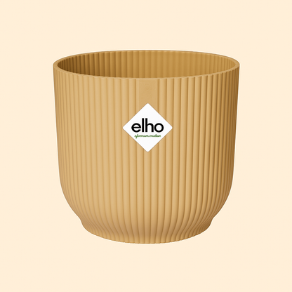 Ficus Elastica Robusta Incl. Elho Vibes Geel - H 40 cm - Ø 14 cm