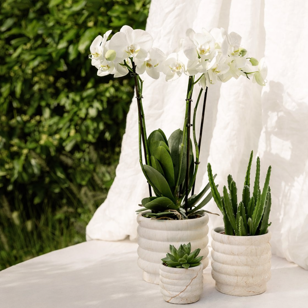 Sierpot Marble Light - D 9 cm