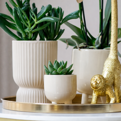 Gift Set Luxury Living