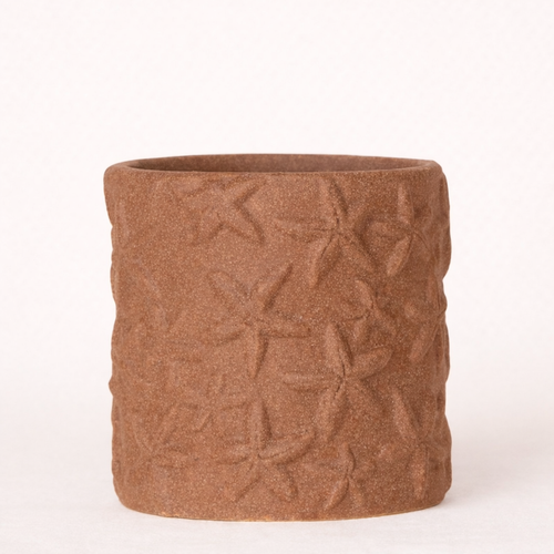 Sierpot Star Fish - D 9 cm