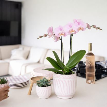 Gift Set Wavy Granada