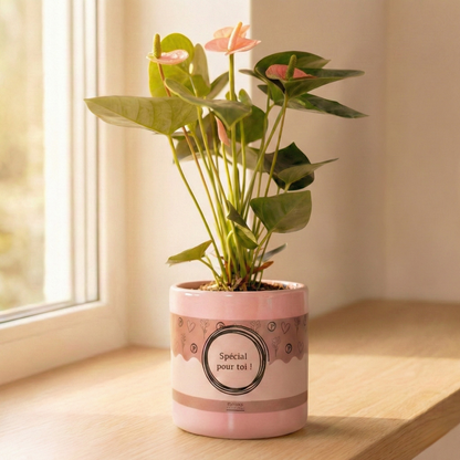 Anthurium Pink (Spirit) Incl. P&PURE Special pour toi