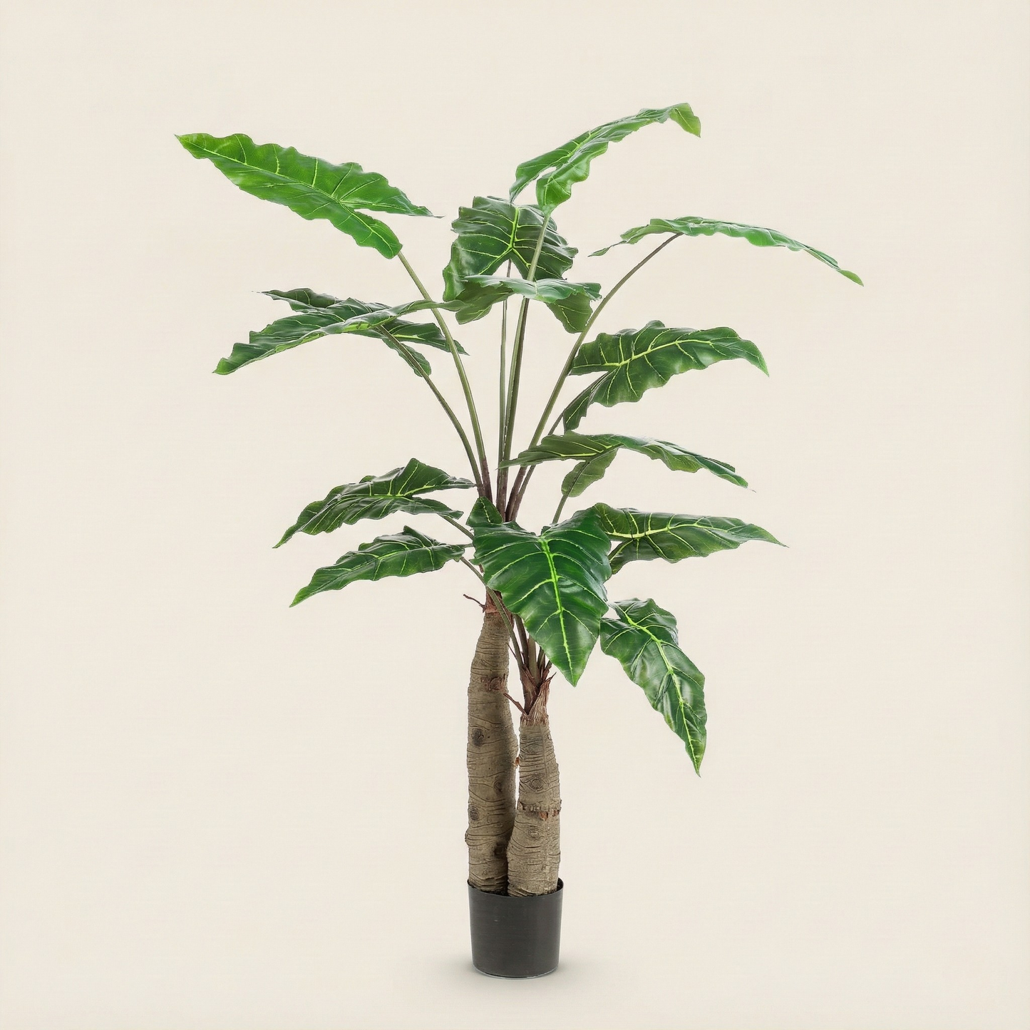 Kunstplant Alocasia (Olifantsoor) - H 180 cm