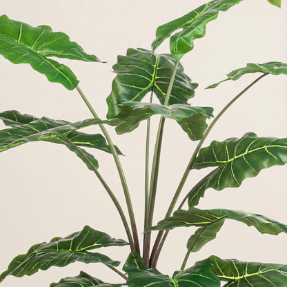Kunstplant Alocasia (Olifantsoor) - H 150 cm
