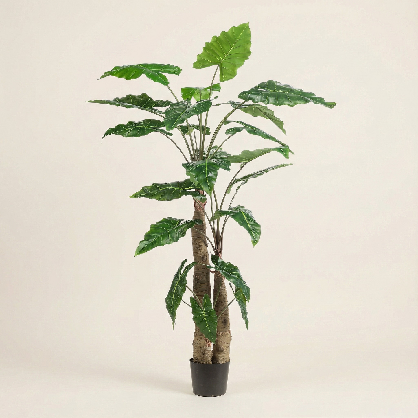 Kunstplant Alocasia (Olifantsoor) - H 180 cm