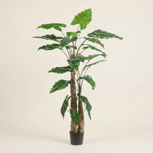 Kunstplant Alocasia (Olifantsoor) - H 180 cm