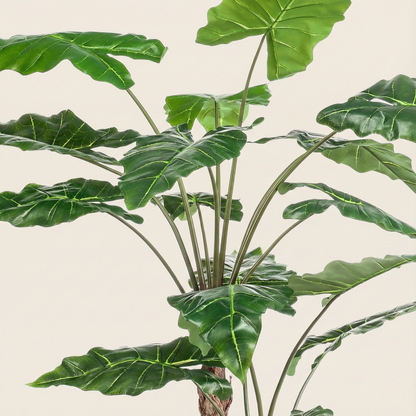 Kunstplant Alocasia (Olifantsoor) - H 180 cm