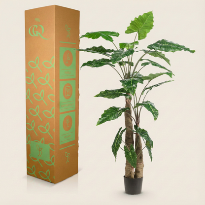 Kunstplant Alocasia (Olifantsoor) - H 180 cm