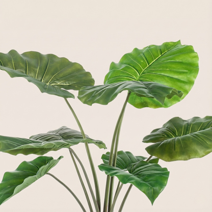Kunstplant Alocasia (Olifantsoor) - H 70 cm