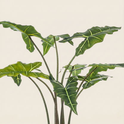 Kunstplant Alocasia Frydek (Olifantsoor) - H 120 cm