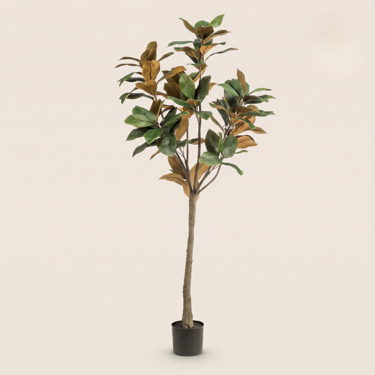 Kunstplant Magnolia Grandiflora - H 150 cm