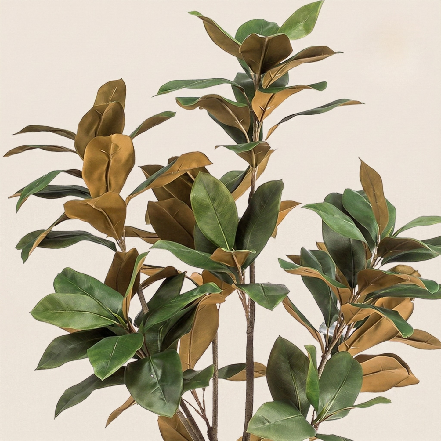 Kunstplant Magnolia Grandiflora - H 150 cm