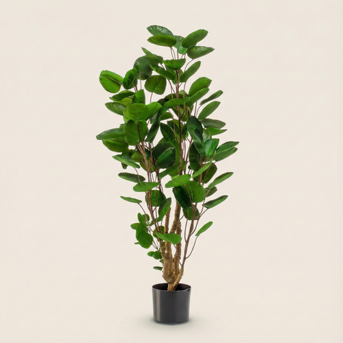 Kunstplant  Polyscias (Aralia) - H 105 cm