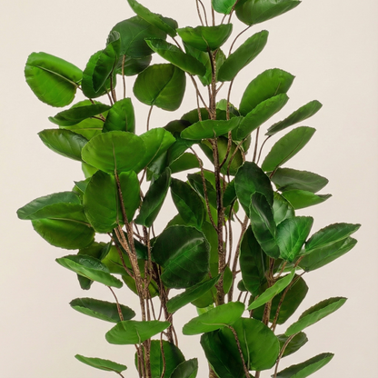 Kunstplant  Polyscias (Aralia) - H 105 cm