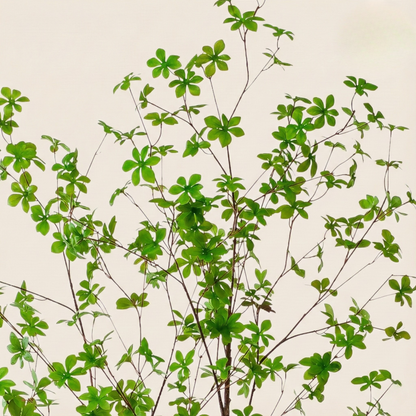 Kunstplant Tropaeolum Speciosum (Oost Indische Kers) - H 210 cm