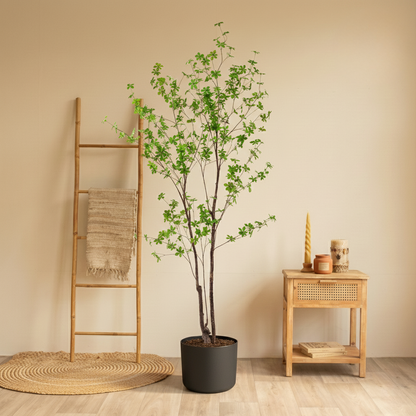 Kunstplant Tropaeolum Speciosum (Oost Indische Kers) - H 150 cm