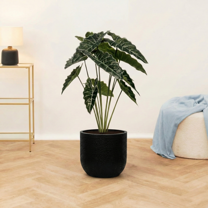 Kunstplant Alocasia - H 80 cm