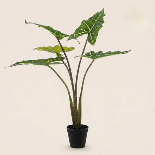 Kunstplant Alocasia Frydek (Olifantsoor) - H 80 cm