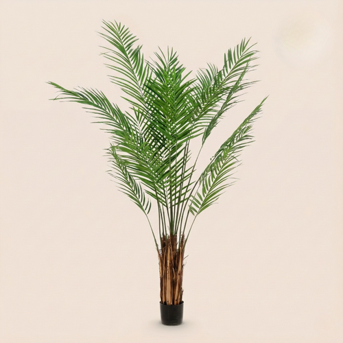 Kunstplant Areca Lutescens (Goudpalm) - H 180 cm