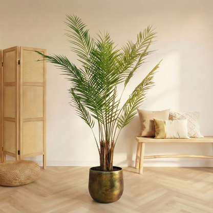 Kunstplant Areca Lutescens (Goudpalm) - H 180 cm