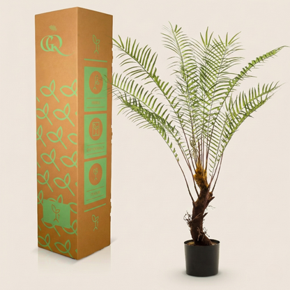 Kunstplant Boomvaren - H 125 cm