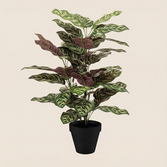 Kunstplant Calathea - H 65 cm