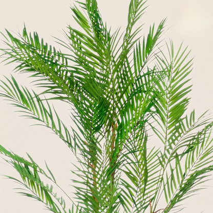 Kunstplant Chamaedorea Elegans (Bergpalm) - H 120 cm