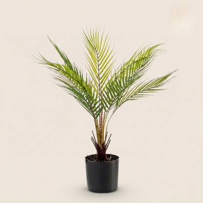 Kunstplant Chamaedorea Elegans (Bergpalm) - H 180 cm