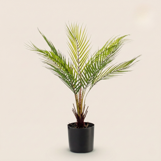 Kunstplant Chamaedorea Elegans (Bergpalm) - H 50 cm