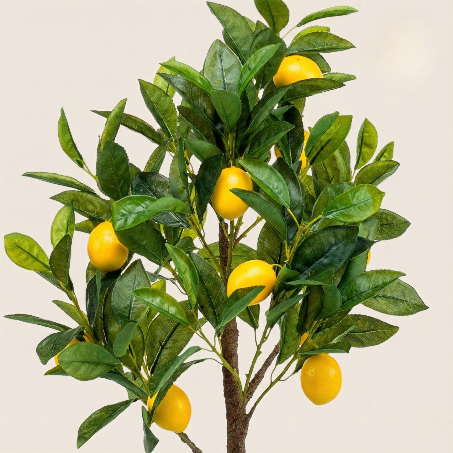 Kunstplant Citrus Limonia (Citroenboom) - H 75 cm
