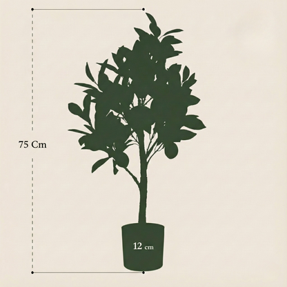 Kunstplant Citrus Limonia (Citroenboom) - H 75 cm