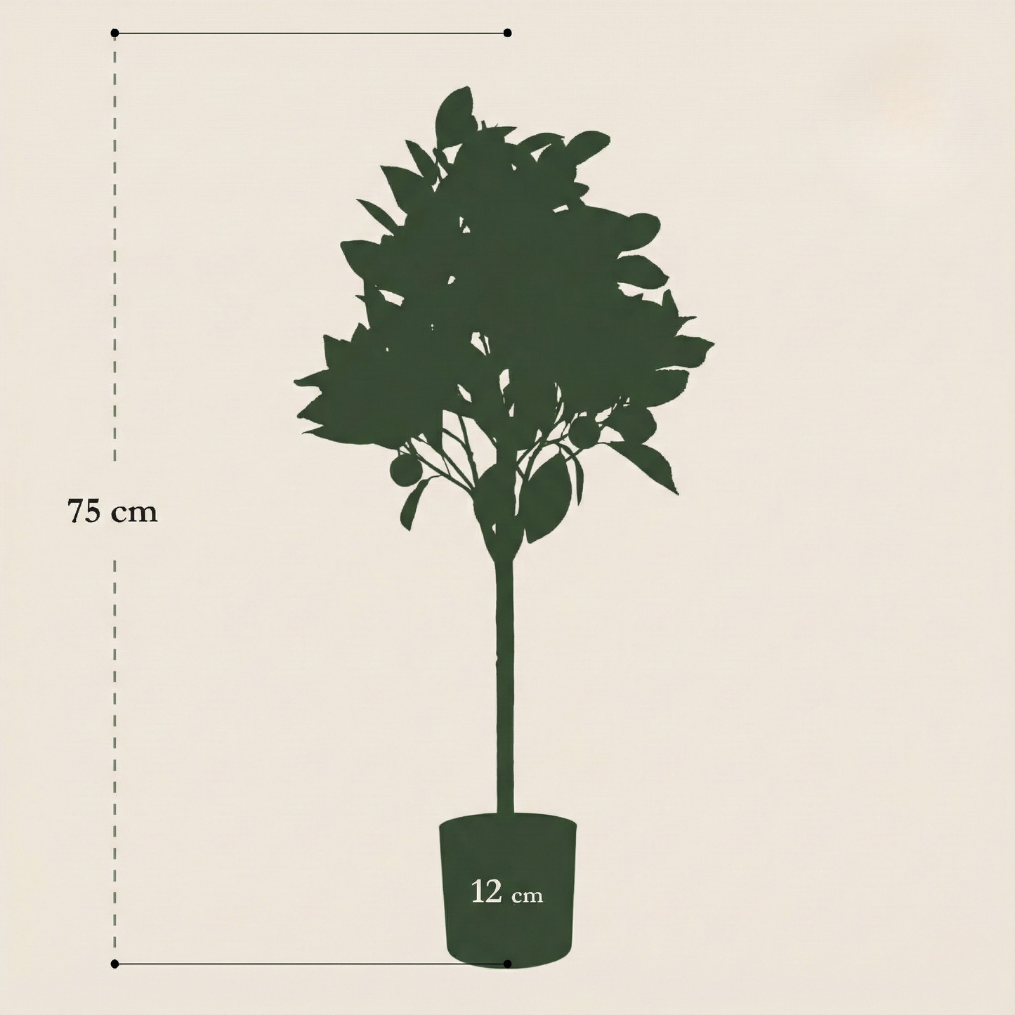 Kunstplant Citrus Sinensis (Sinaasappelboom) - H 75 cm