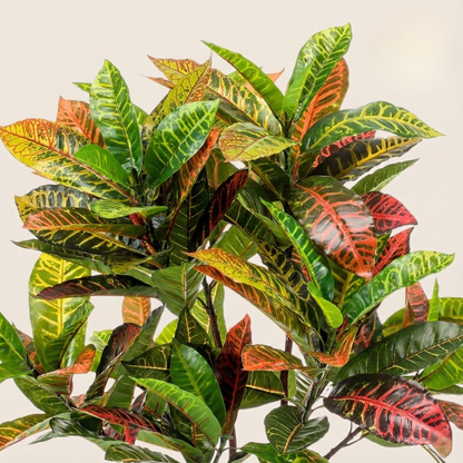 Kunstplant Croton Codiaeum (Wonderstruik) - H 120 cm
