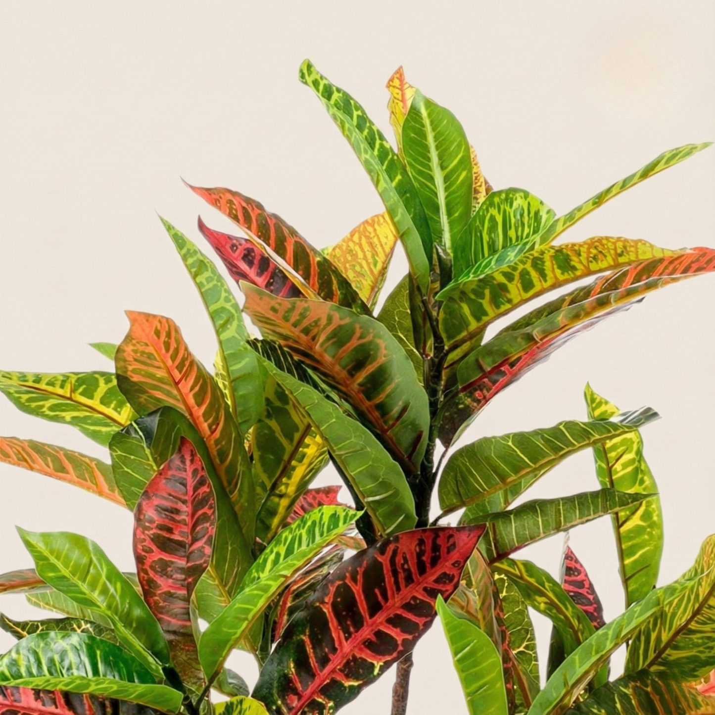 Kunstplant Croton Codiaeum (Wonderstruik) - H 95 cm